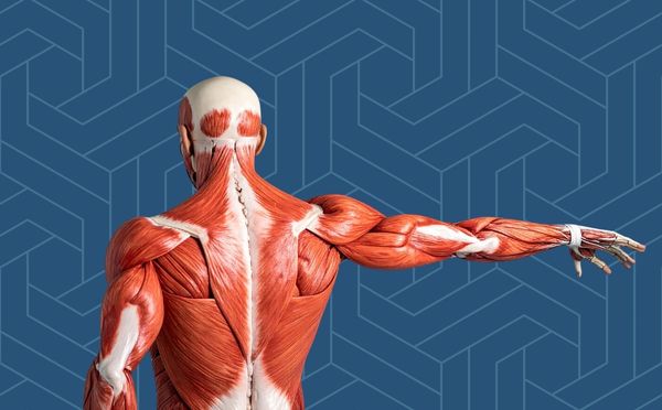 Physiotherapy Mentorship