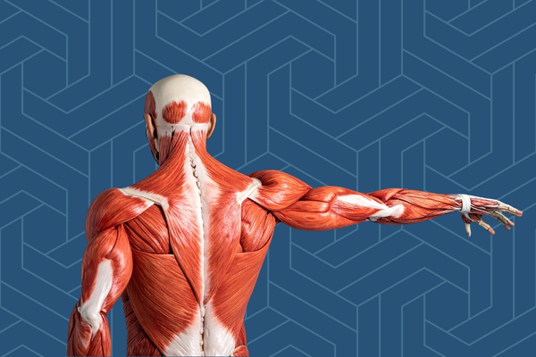 headache self-management course